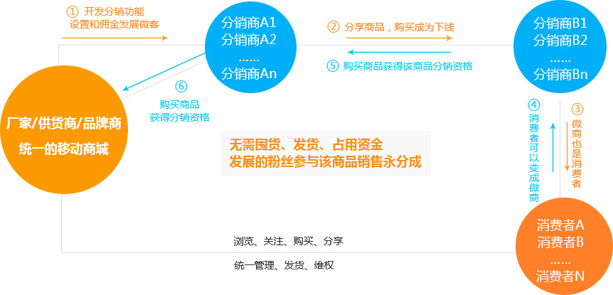 天蠶分銷商城結(jié)構(gòu)圖